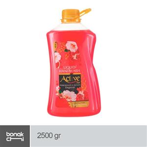 مایع دستشویی اکتیو انار و گل حاوی مواد مرطوب کننده پروتئین سویا 2500 گرم 