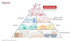 ماءالشعیر شیشه ای کلاسیک گازدار 330 میلی لیتری هوفنبرگ