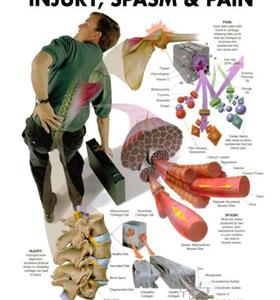 دستگاه فیزیوتراپی  برجیس 10 کاناله 250 هرتز