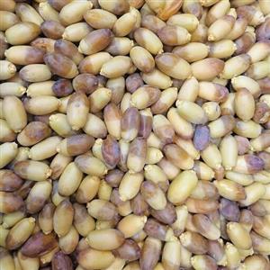 رطب آبادان (استعمران) زرد شیرین و خوش طعم بسته 4 کیلویی