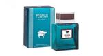 عطر ادکلن مردانه فلاویا پگاسوس  فلاویا ادوپرفیوم ۱۰۰ میل FLAVIA  PEGASUS Pour Homme