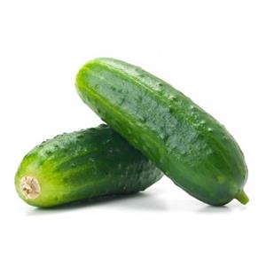 بذر خیار درختی خاردار