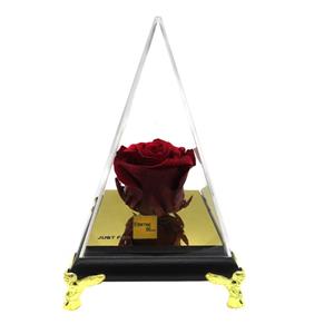 گل رز جاودان اترنال بلومز مدل Fairy Enternal Blooms Preserved Rose Flower Box 