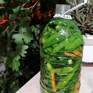 خیار شور 4 لیتریرسائی. بی نظیر