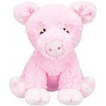 عروسک خوک تریکسی آلمان TRIXIE Be Eco Pig Edison Cudly Toy