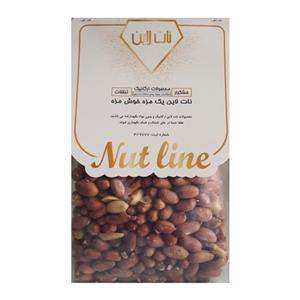 بادام زمینی نمکی آستانه نات لاین - 630 گرم