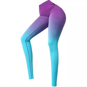 لگینگ ورزشی زنانه مدل فلورسنت کالر پلت سیملس پشت چین دار کد PA1