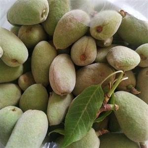 بادام تازه با پوست سبز