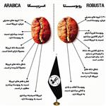 دان قهوه میکس 100 درصد ربوستا (سوپر فول کافئین)