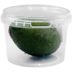 Avocado 