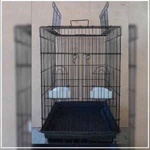 قفس 1033 کاسکویی
