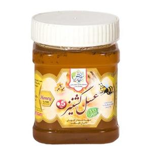 عسل گشنیز(نیم کیلویی)