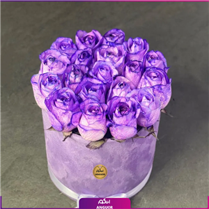 باکس گل رز بنفش 19 شاخه ای