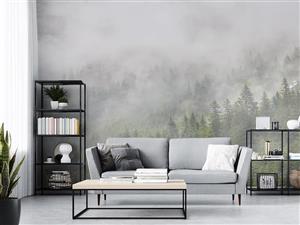 پوستر دیواری منظره طبیعت W10167000