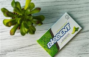 ادامس بایودنت طعم نعناع Biodent Spearmint Flavour Chewing Gum Pack Of 12 
