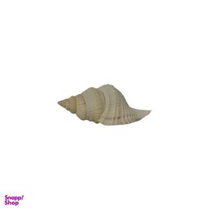 صدف تزیینی آکواریوم مدل C03