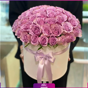 باکس گل رز صورتی 55 شاخه ای