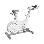دوچرخه ثابت ورزشی شیائومی مدل Xiaomi Lydsto Spinning Bike Exercise Bike S1