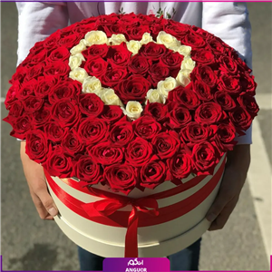 باکس گل رز قرمز 101 شاخه