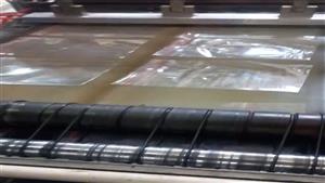 زیپ کیپ سایز ۱۸در۲۰ (۱۰۰عددی)