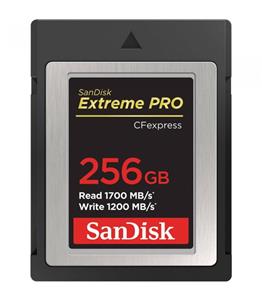 کارت حافظه سن دیسک مدل Extreme PRO CFexpress Card Type B ظرفیت ۲۵۶ گیگابایت