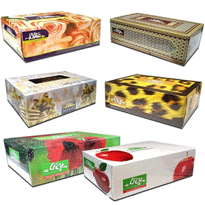 دستمال کاغذی بی‌ تا (Bita) مدل 2 لایه 100 برگ