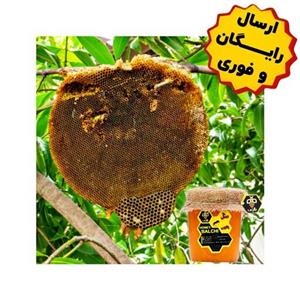 عسل طبیعی جنگلی بالچی (1 کیلوگرم)(بدون موم)(  و فوری)( مستقیم از زنبوردار نمونه)