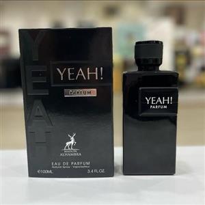 عطر ادکلن ایو سن لورن وای له پارفوم الحمبرا alhambra yeah parfum yves saint laurent y le (ارسال 