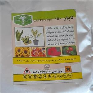 انواع قارچ کش گیاهان اپارتمانی