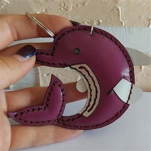 جاسوئیچی دلفین