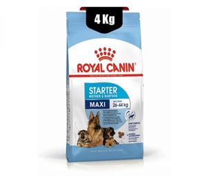 غذای خشک سگ مکسی استارتر رویال کنین (Royal Canin Maxi Starter Mother Baby) وزن 4 کیلوگرم