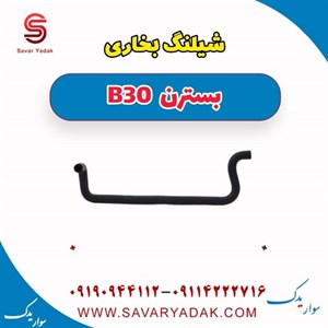 شلنگ بخاری بلند بسترن B30