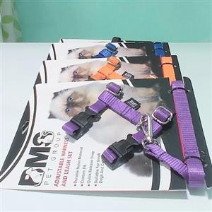 قلاده گربه و سگ کوچک برند BMS