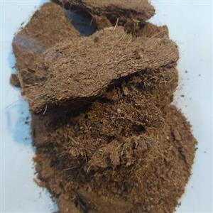 کوکوپیت  سریلانکا  جهت بستر کشت گلهای آپارتمانی