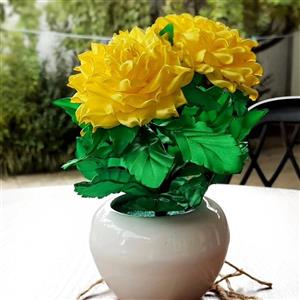 گل رز نوک تیز روبانی با گلدان