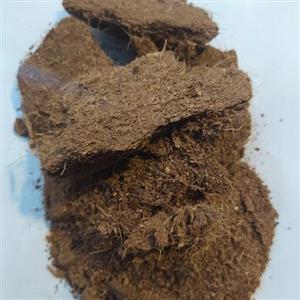 کوکوپیت سریلانکا جهت بستر گل و گیاه
