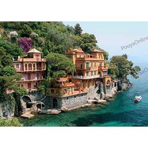 پرده زبرا تصویری