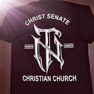 تی شرت مشکی مردانه قواره لش(دوایکس ایکس لارج)