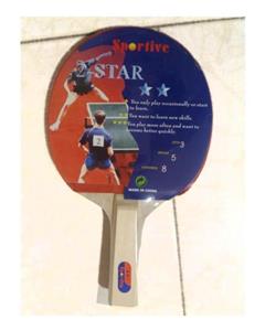 توپ پینگ پنگ دی اچ اس مدل دو ستاره Dhs 2 Star Ping Pong Ball