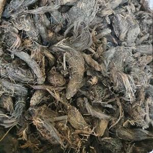 سنبل الطیب - 1 کیلو