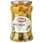 Esalat Mixed Pickled Vegtable 680 gr