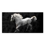 تابلو شاسی مدل White Horse
