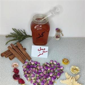 عسل طبیعی گز عسل گزانگبین عسل گز انگبین عسل گون گز(یک کیلوئی)