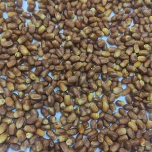 خرما خشک تازه زاهدی درجه یک  پنج کیلویی