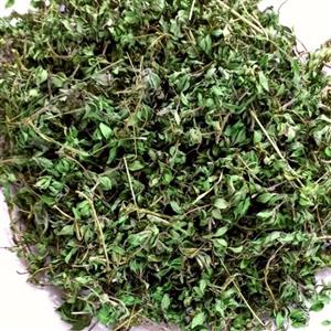 آویشن کوهی 100 گرمی