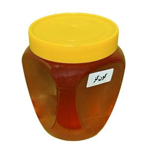 عسل طبیعی گز عسل گزانگبین عسل گز انگبین عسل گون گز(نیم کیلوئی)