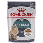 پوچ گربه بالغ مبتلا به هیربال شدید رویال کنین مدل HAIRBALL وزن 85 گرم 