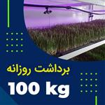 پکیج برداشت حدودی 100 کیلوگرم روزانه علوفه هیدروپونیک