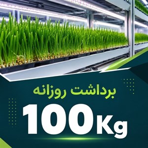 پکیج برداشت حدودی 100 کیلوگرم روزانه علوفه هیدروپونیک