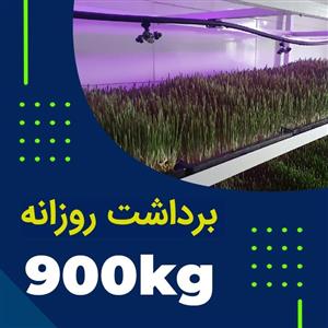 پکیج برداشت حدودی 900 کیلوگرم روزانه علوفه هیدروپونیک 